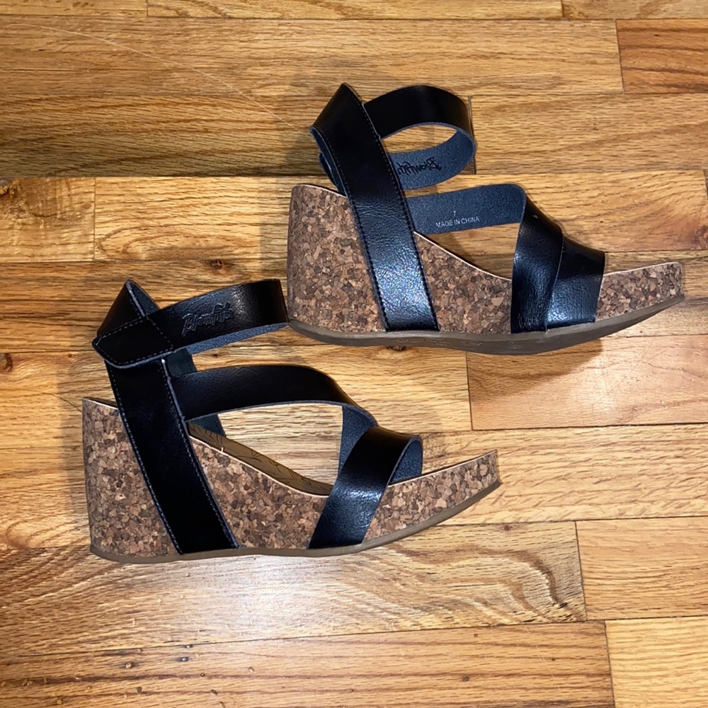 Blowfish wedges